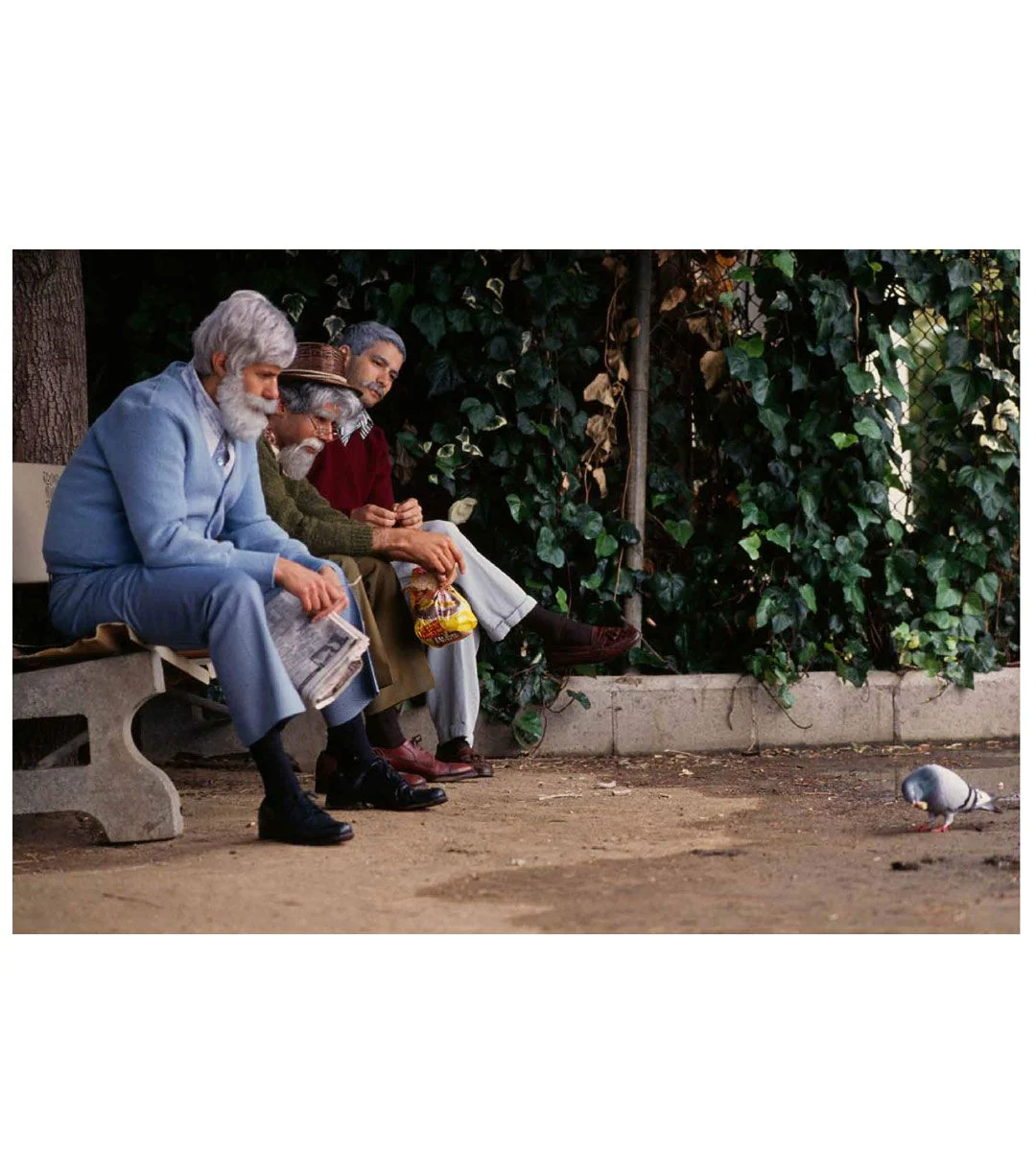 Image du produit 5