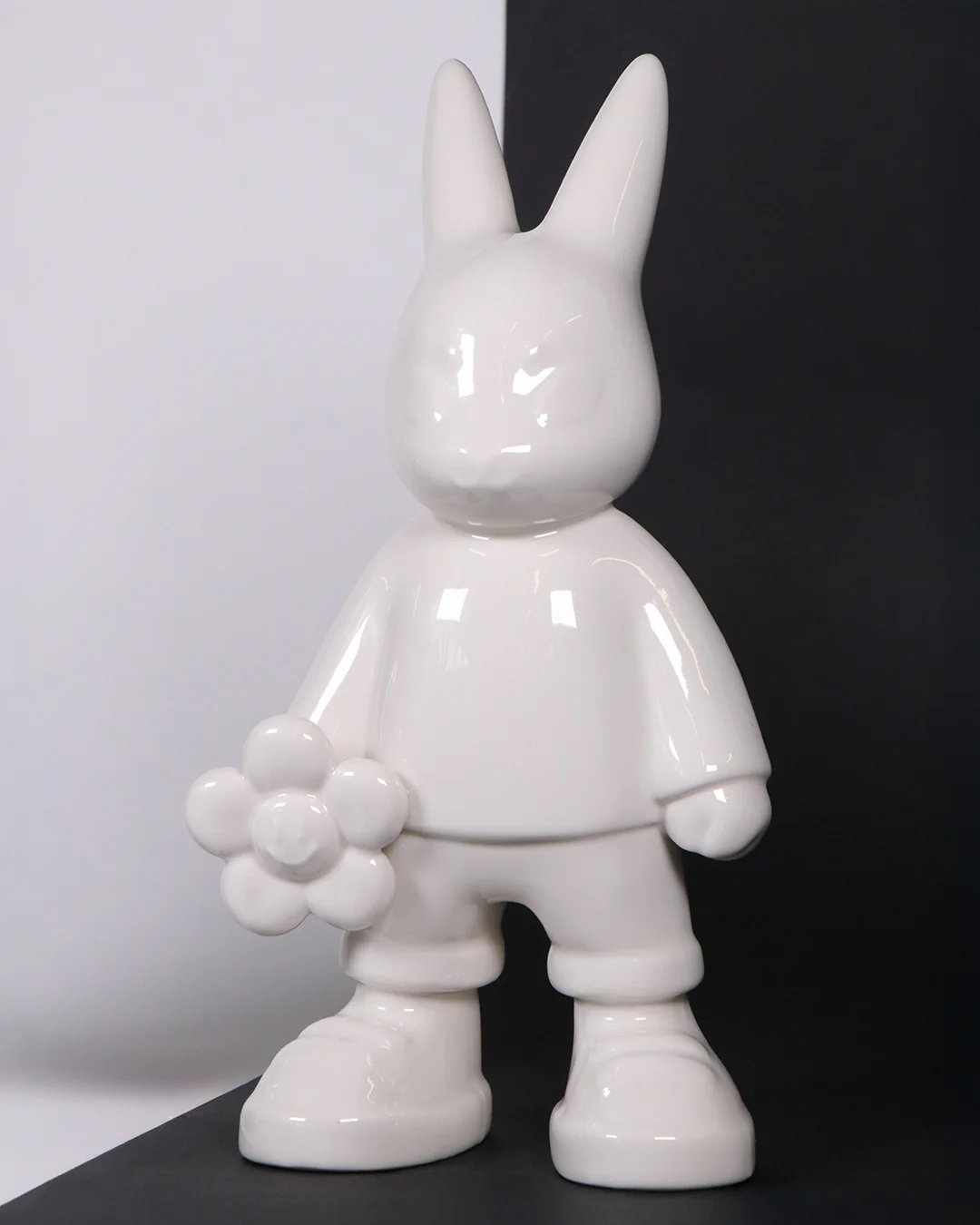 Image du produit 11