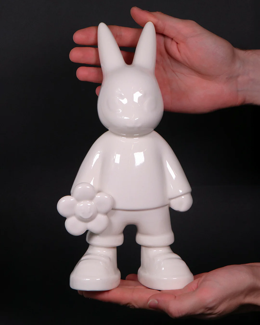 Image du produit 12