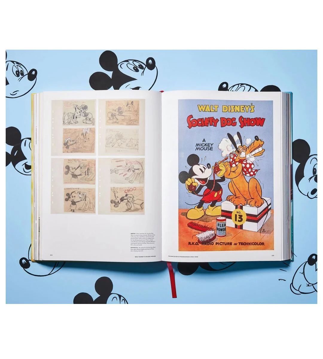 Image du produit 15